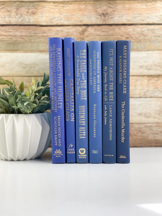 Blue Books for Decoration