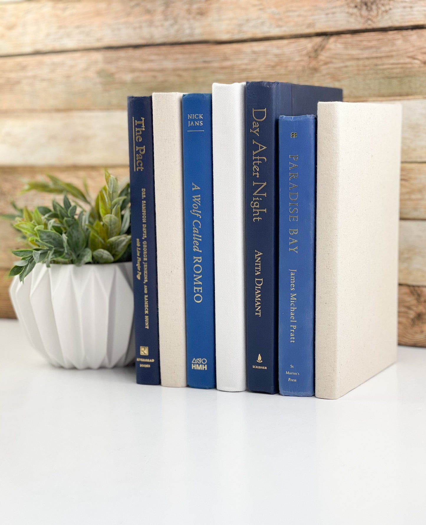 Blue Decorative Books for Shelf Decor