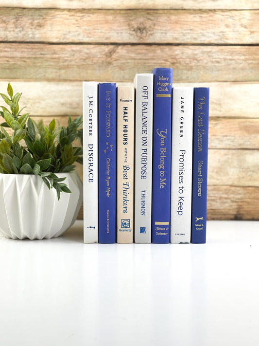 Blue and White Home Decor