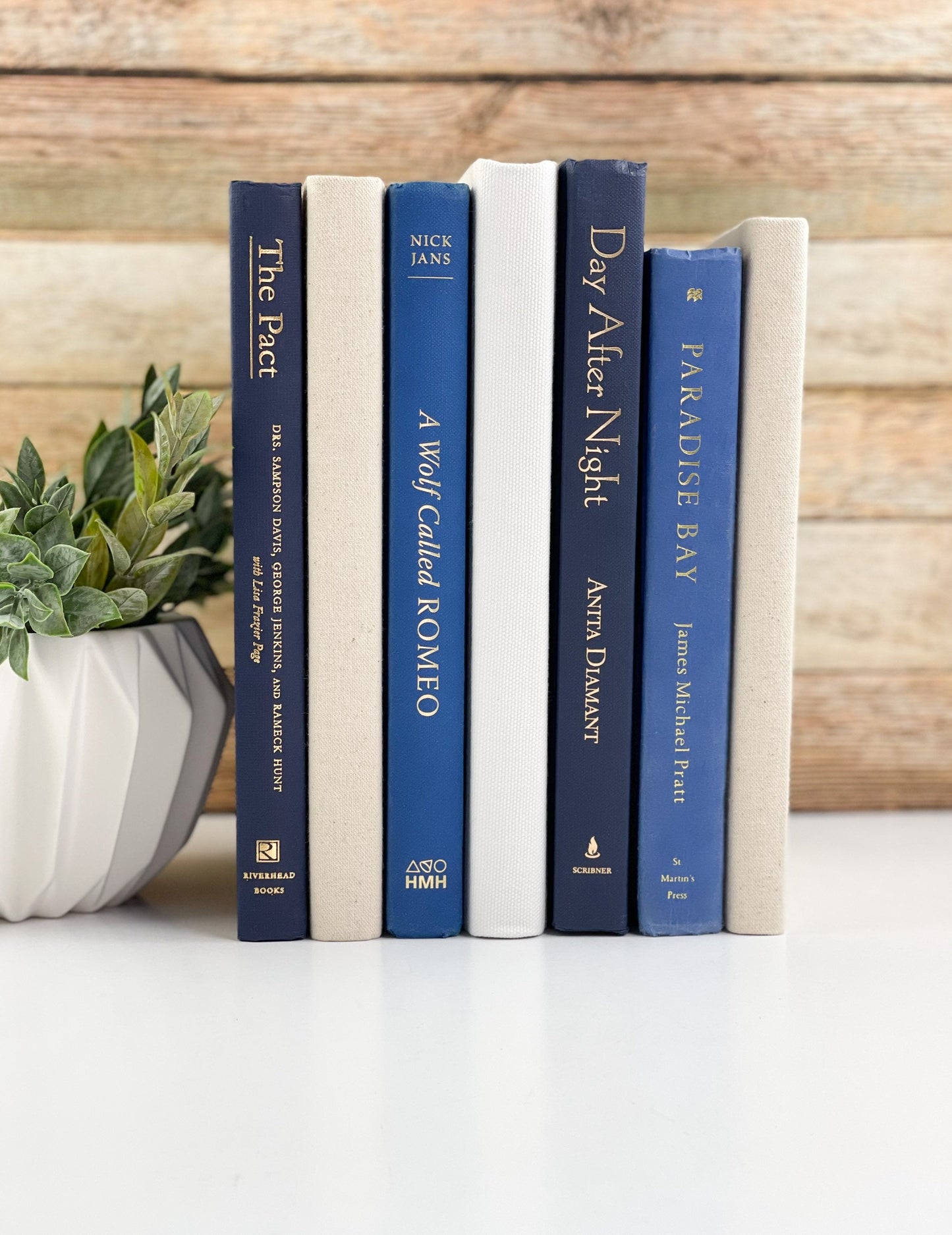 Blue Decorative Books for Shelf Decor