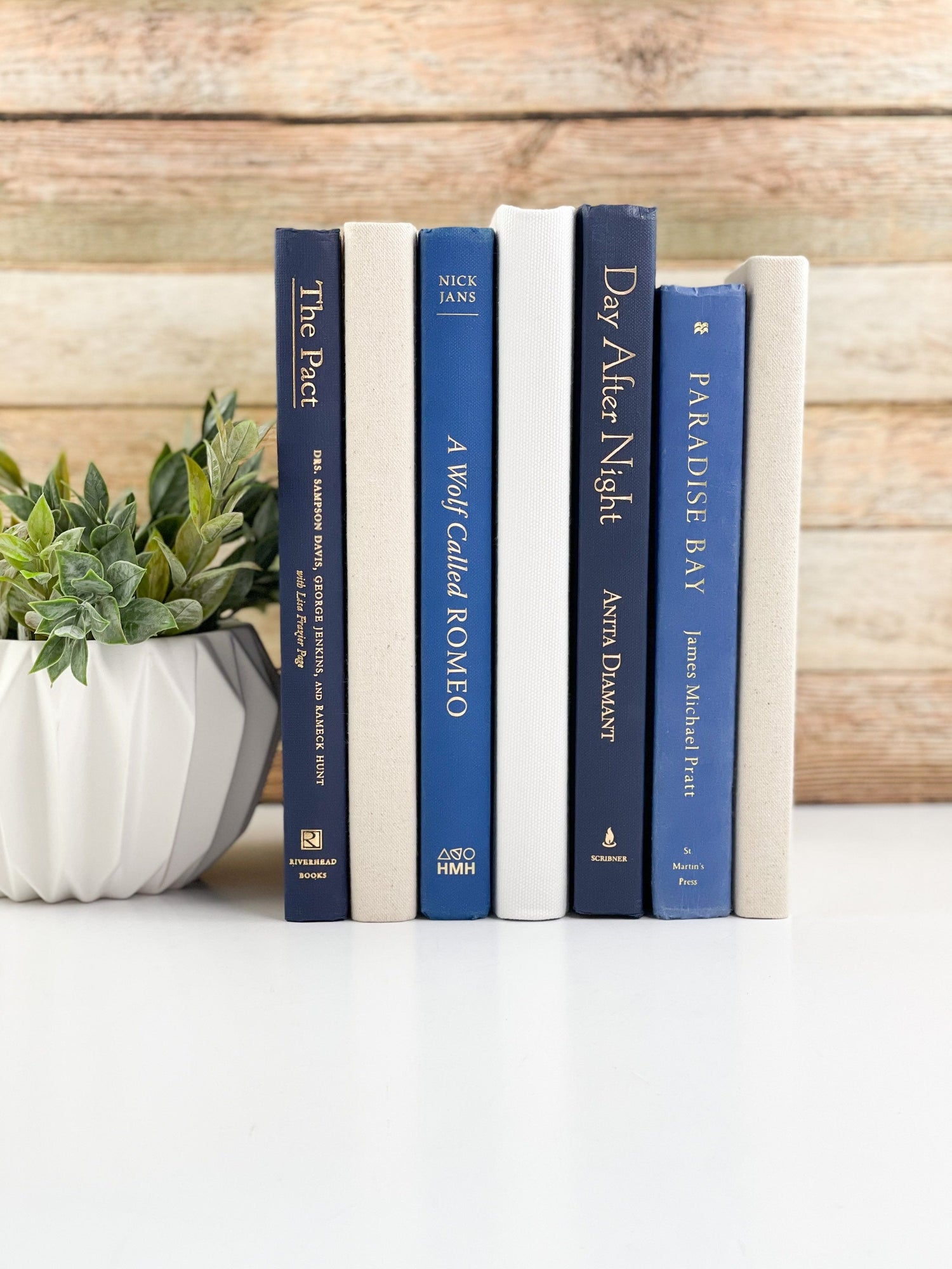 Blue Decorative Books for Shelf Decor
