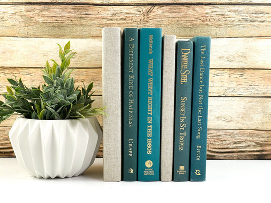 Decorative Books / Shelf Decor