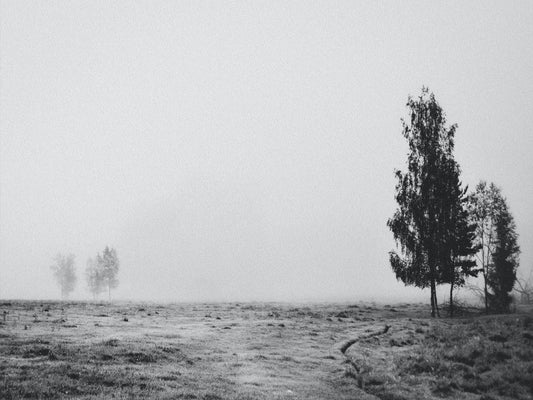 Black and White Landscape Photograph / Digital Download