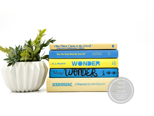 Yellow and Blue Bookshelf Decor