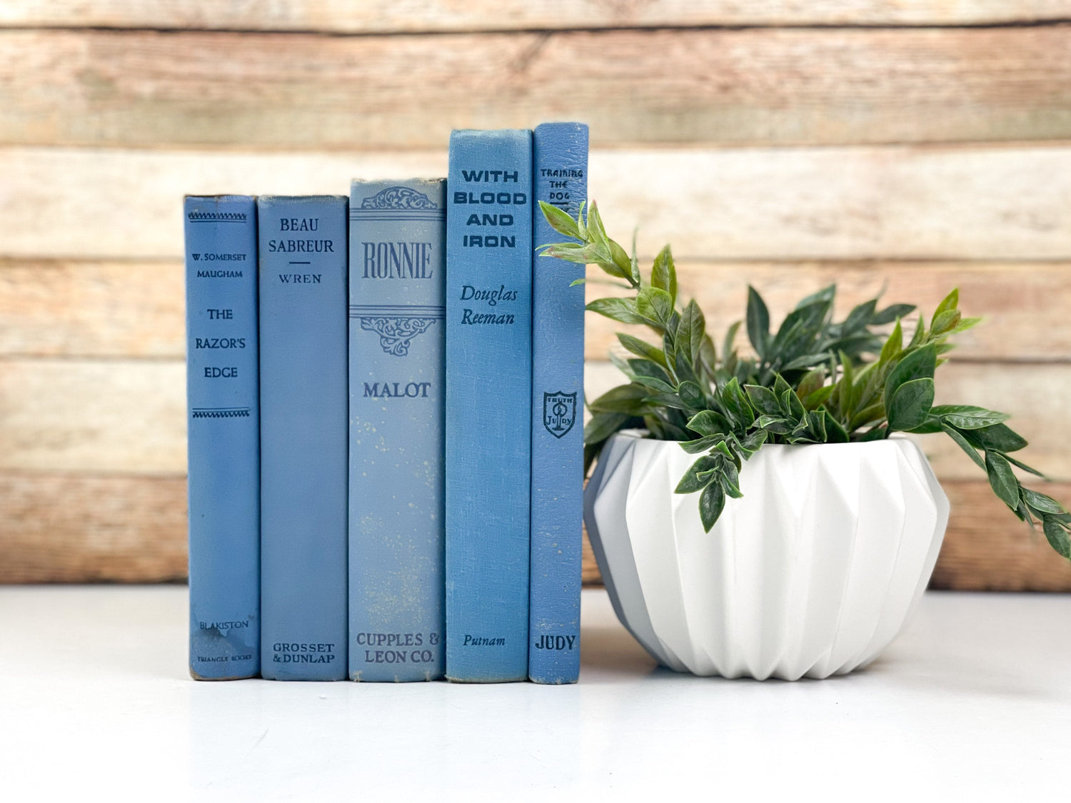 Books for Decor