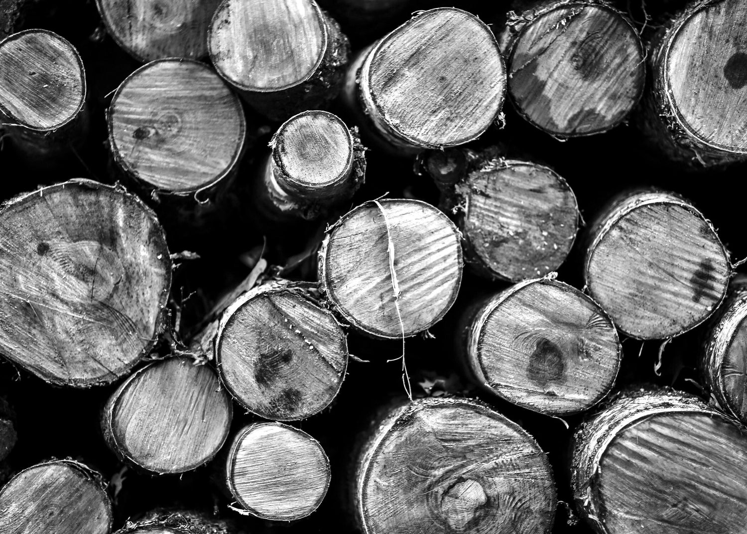 Black and White Logs 