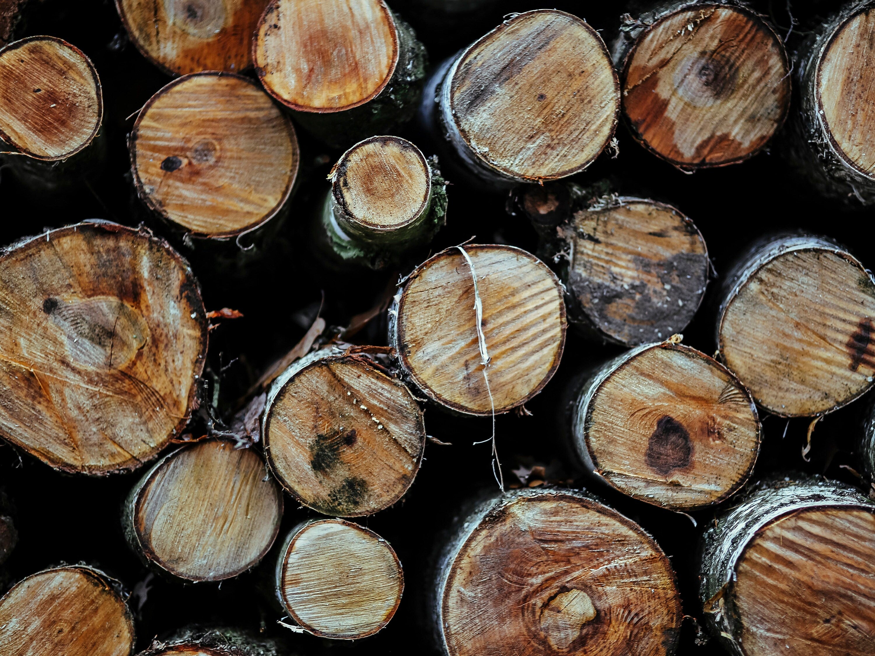 Color A Log Color Logs – Elements