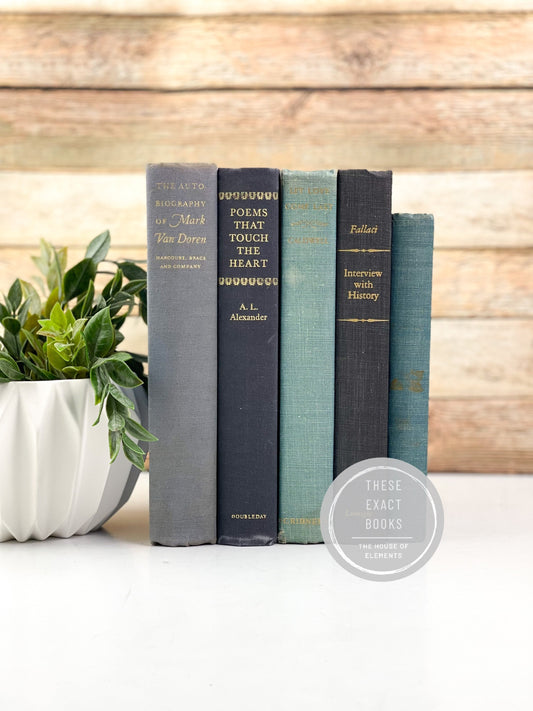 Blue Decorative Book Set