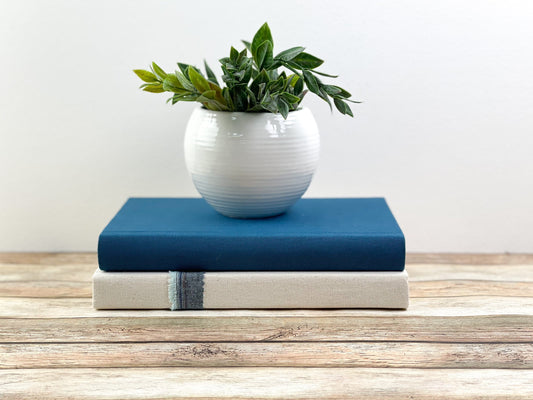 Blue Bookshelf Decor