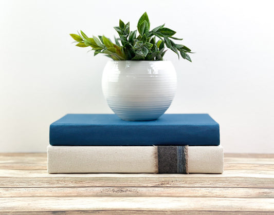 Blue Living Room Decor