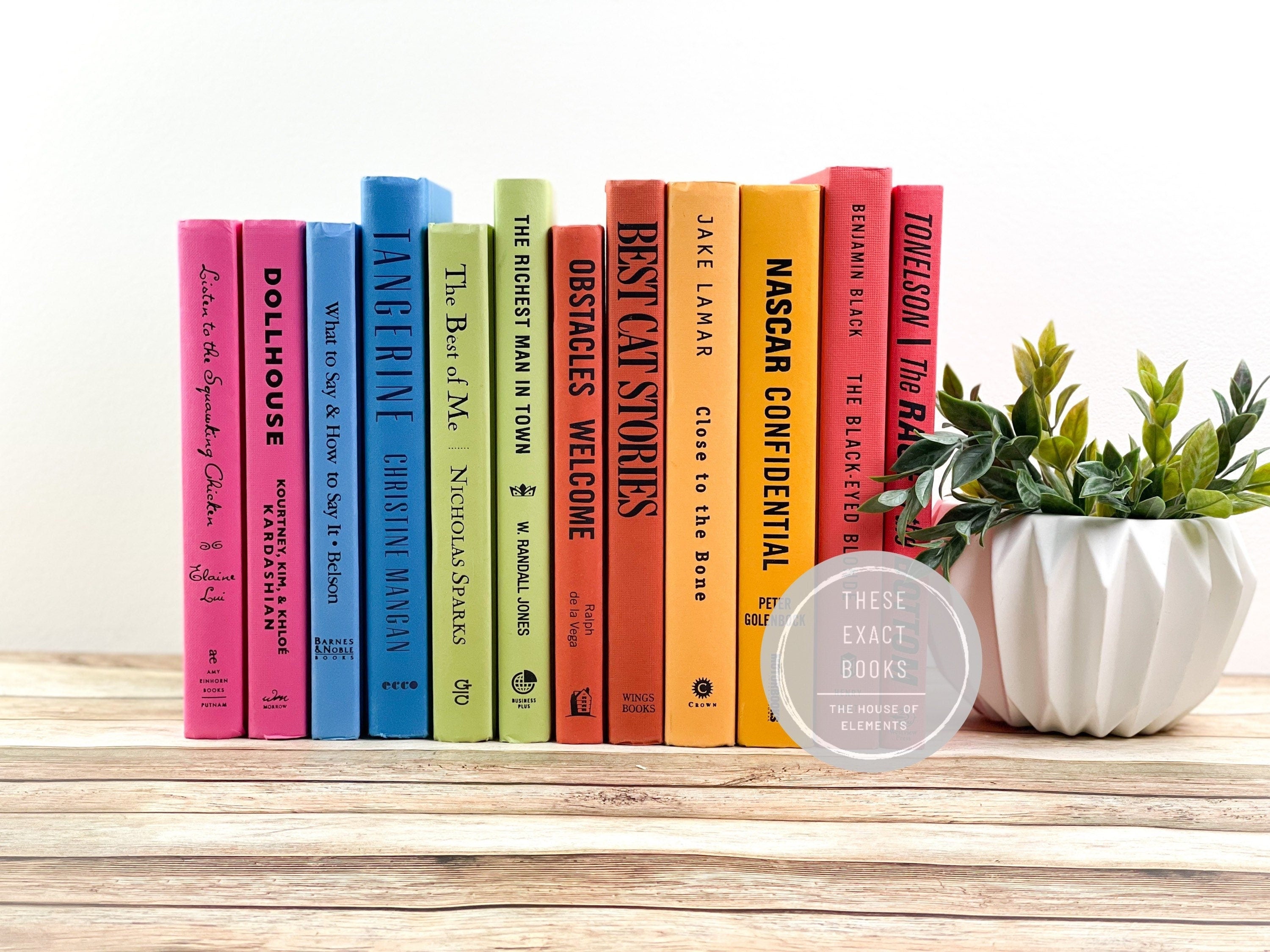Colorful Set of Books – Elements