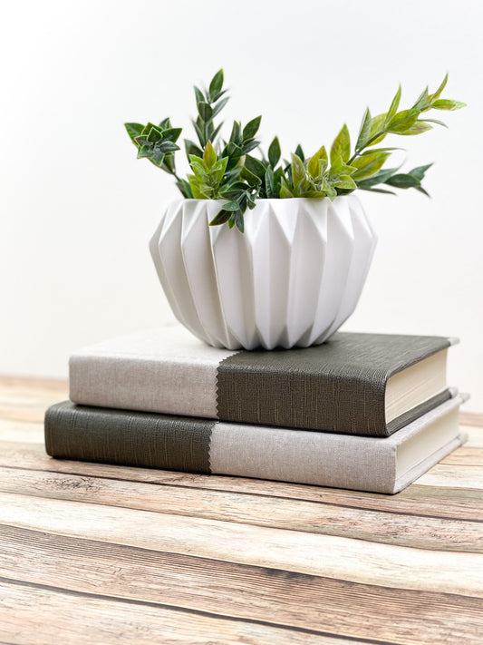 Decorative Books for Shelf Decor