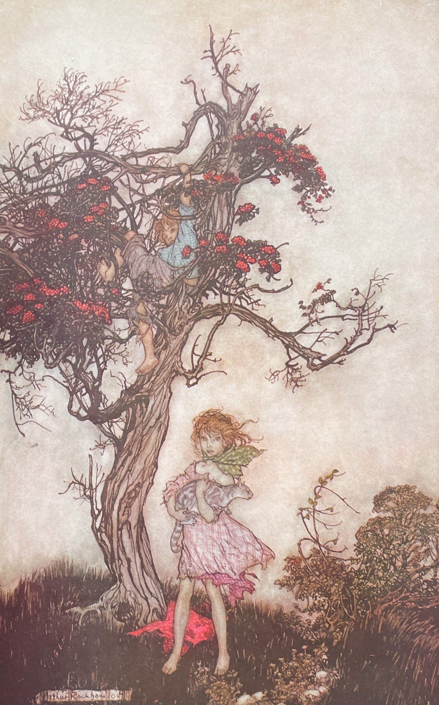 Children's Fairy Tale Art