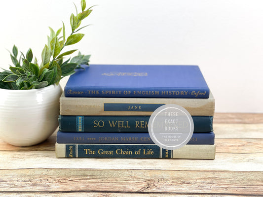 Books for Decoration