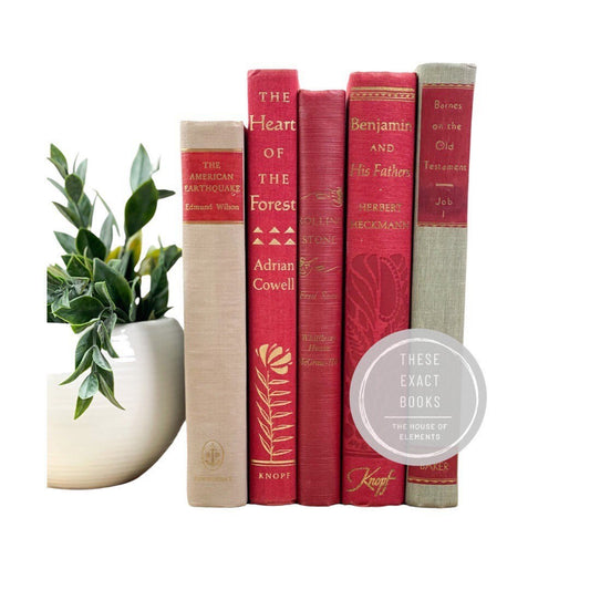 Set of Books for Shelf Decor