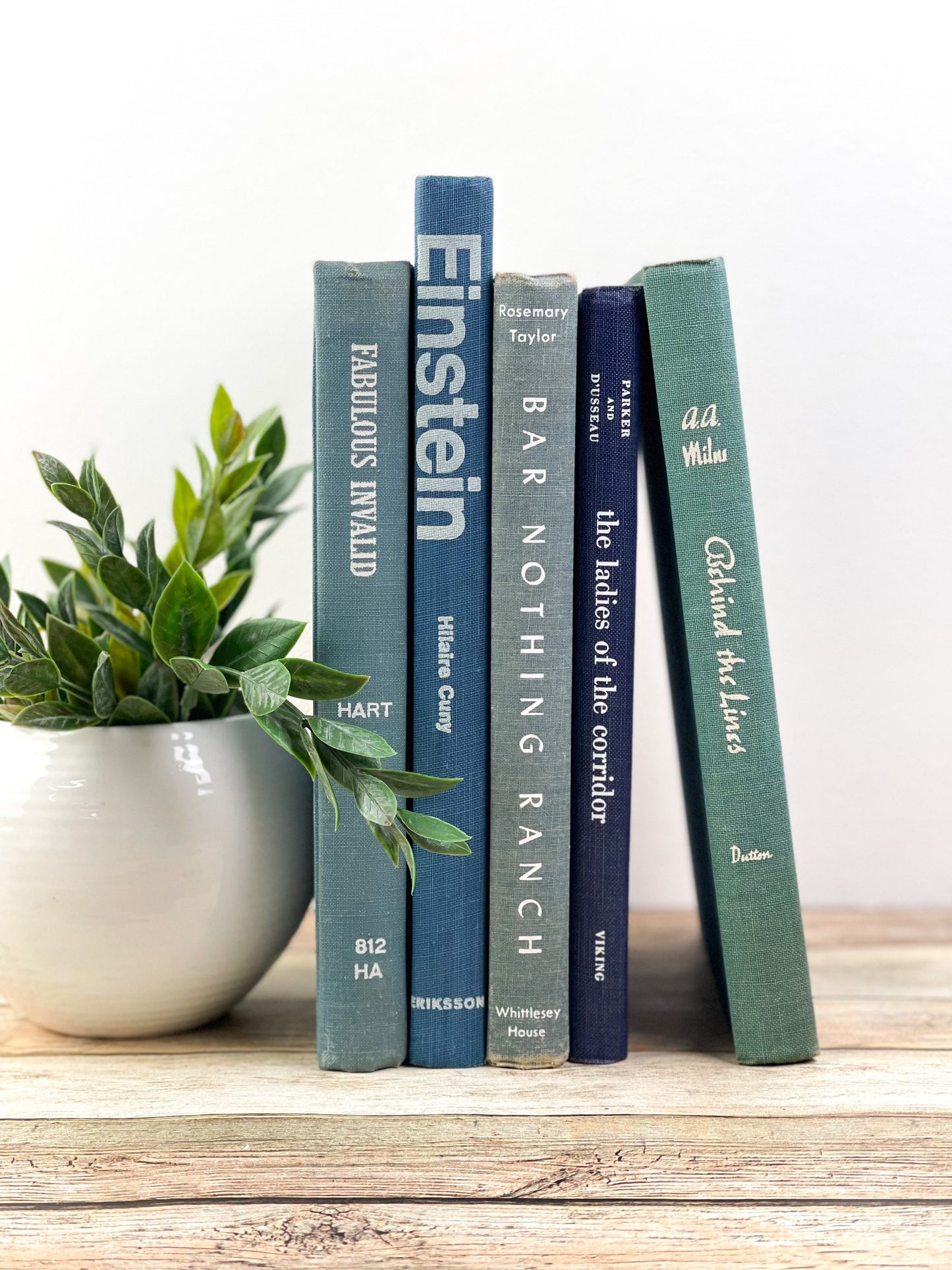 Staging Books for Home Decor