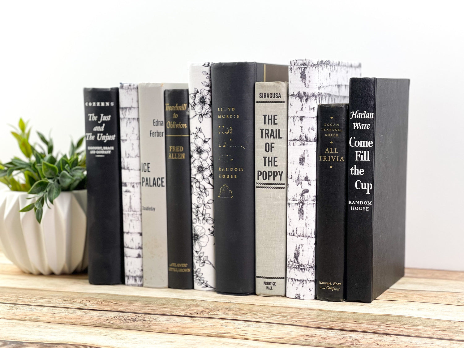 Decorative Books for Shelf Decor