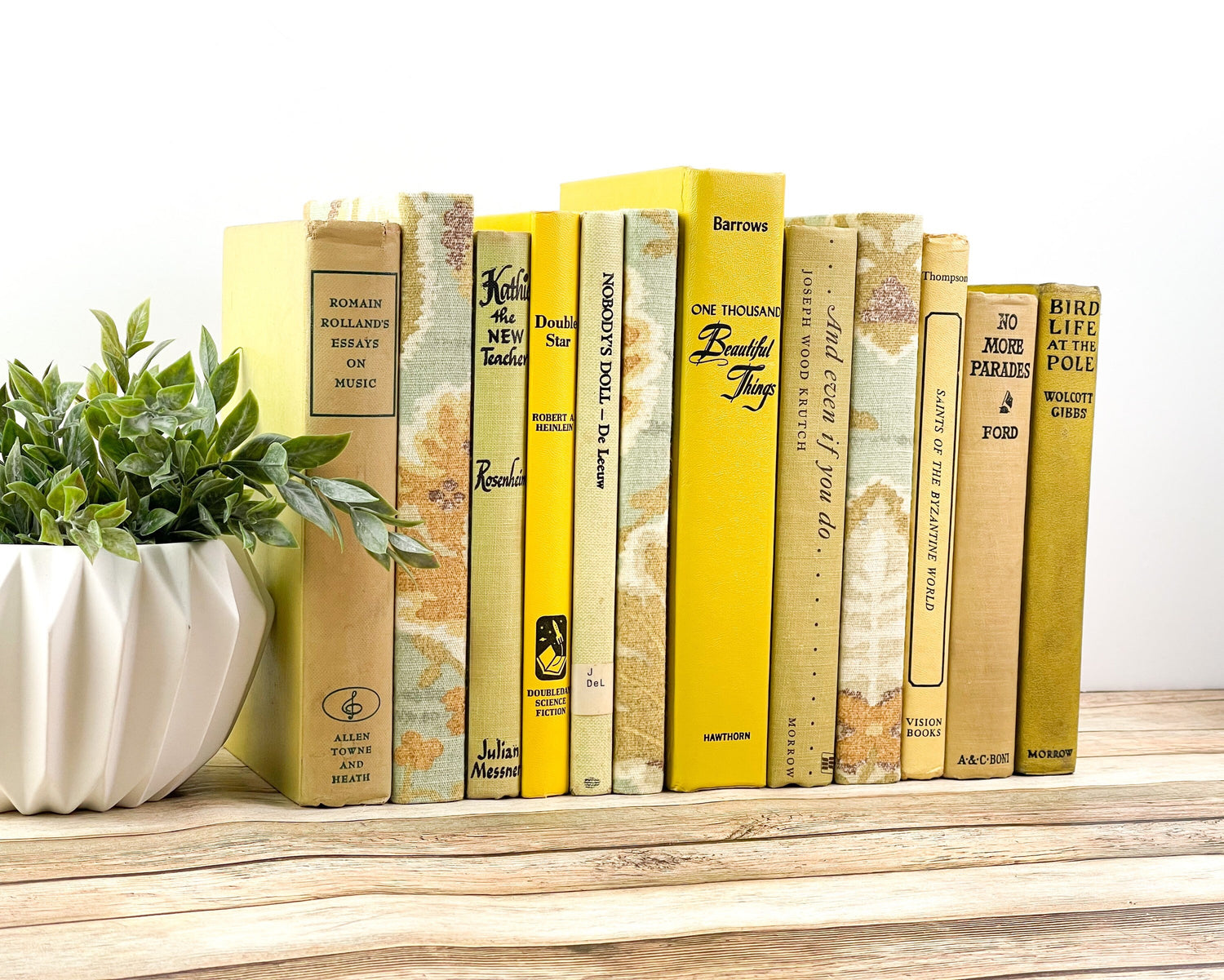 What Books were on Gibb'S Book Bookshelf: Must-Read Classics Revealed