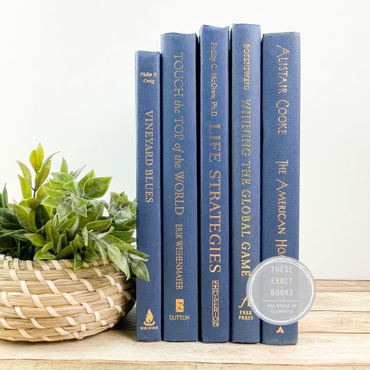 Books for Shelf Decor