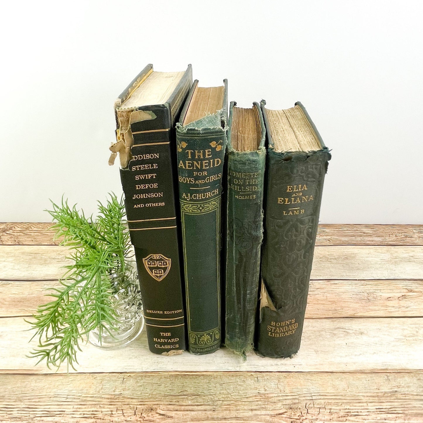 Decorative Books