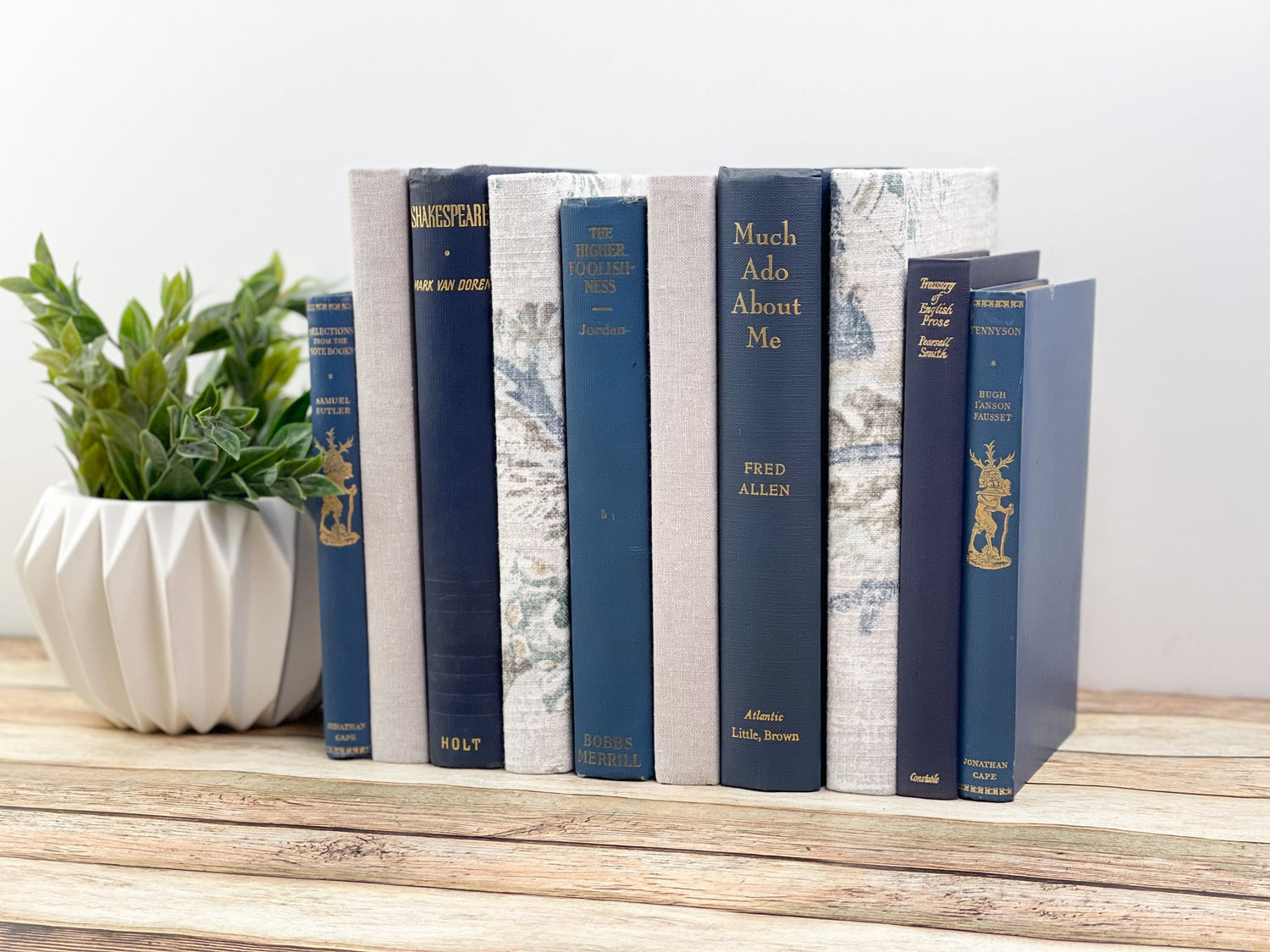 Blue Decorative Books for Home Decor