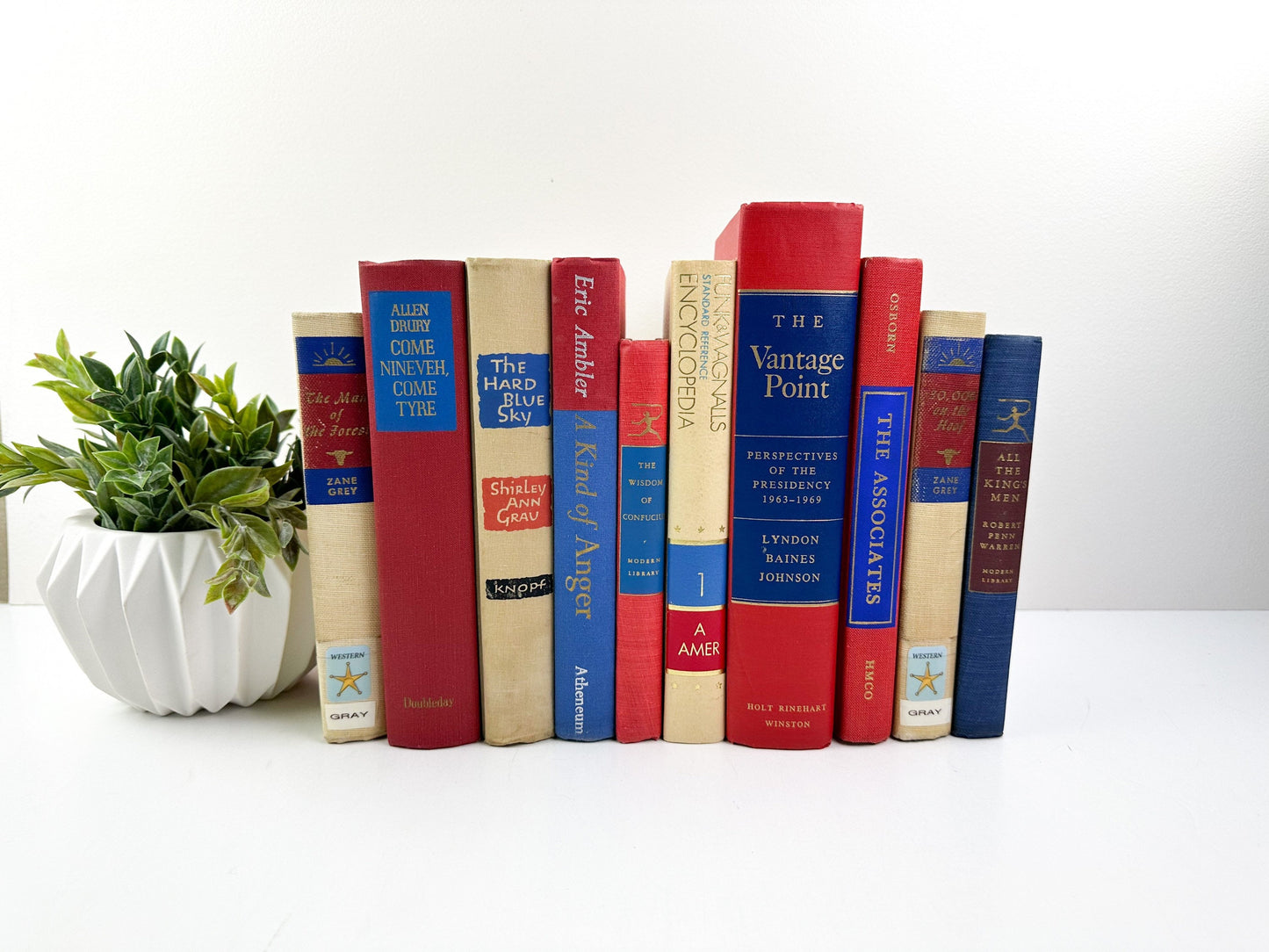 Red and Blue Vintage Books