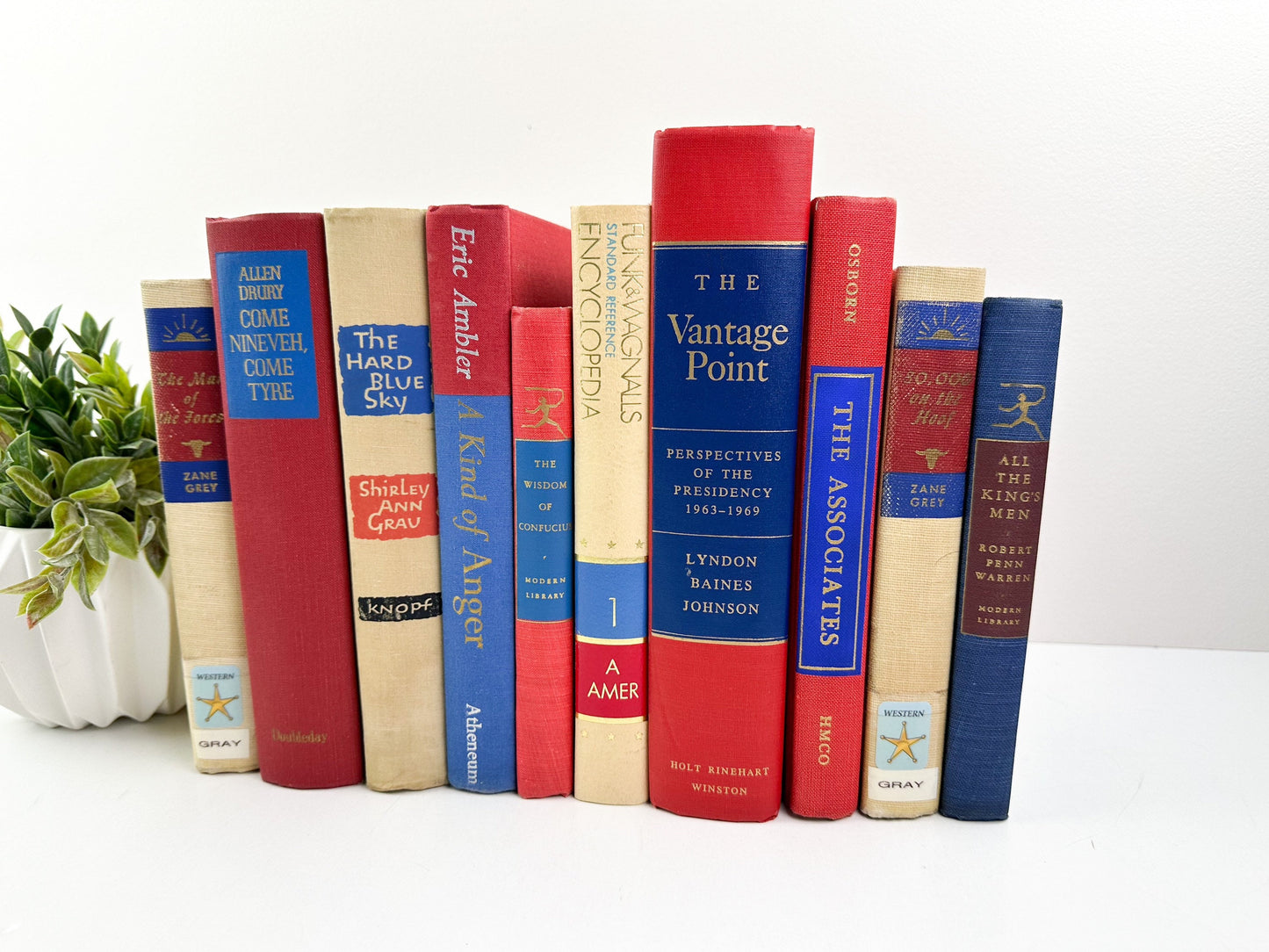 Red and Blue Vintage Books