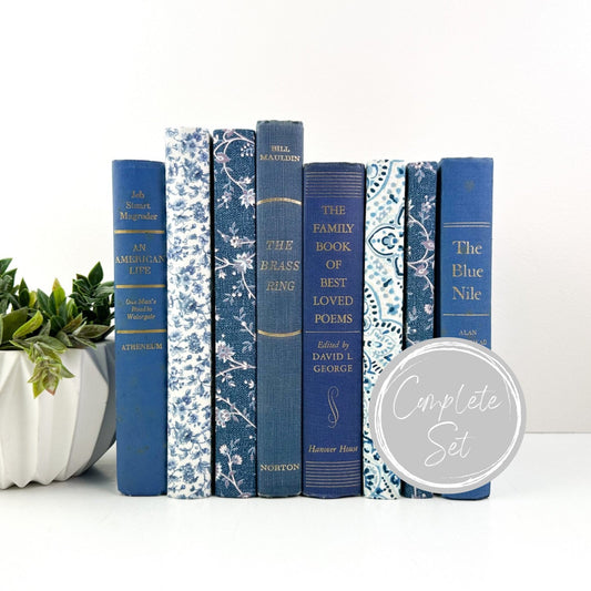 Blue Shelf Decor