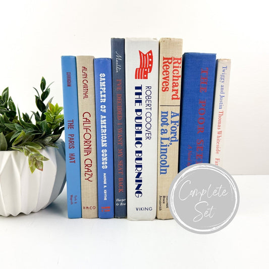 Red White and Blue Bookshelf Decor