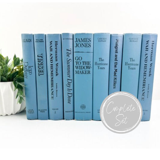 Blue Shelf Accessories