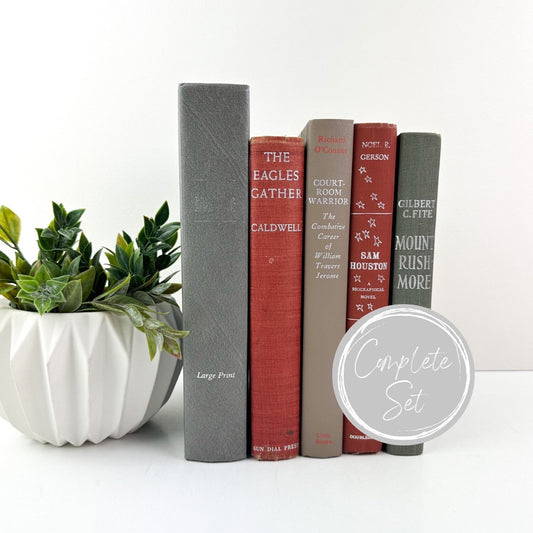 Book Bundle, Stack of Books for Shelf Decor, Shelf Accessories, Shelf Decor