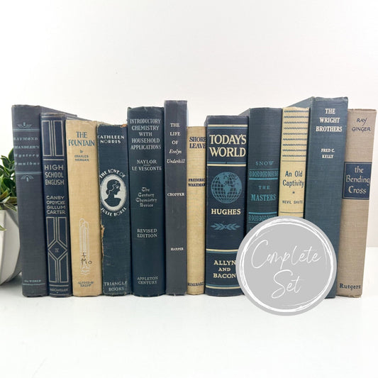 Decorative Books, Blue Book Set, Mantel Decor
