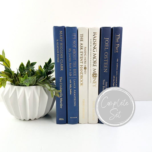 Blue and Cream Book Bundles