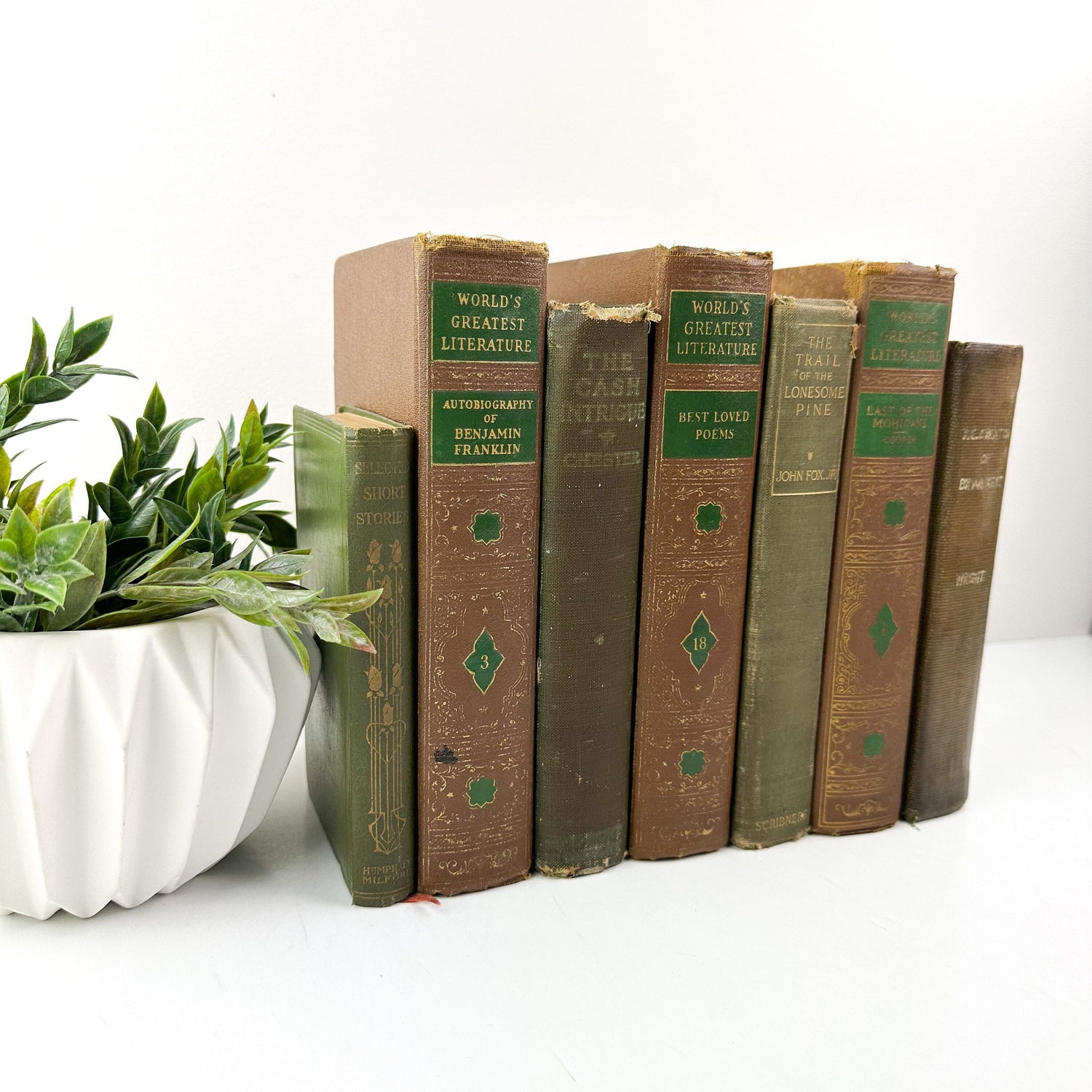 Book Bundle, Green and Brown Books for Living Room Decor, Farmhouse Decor