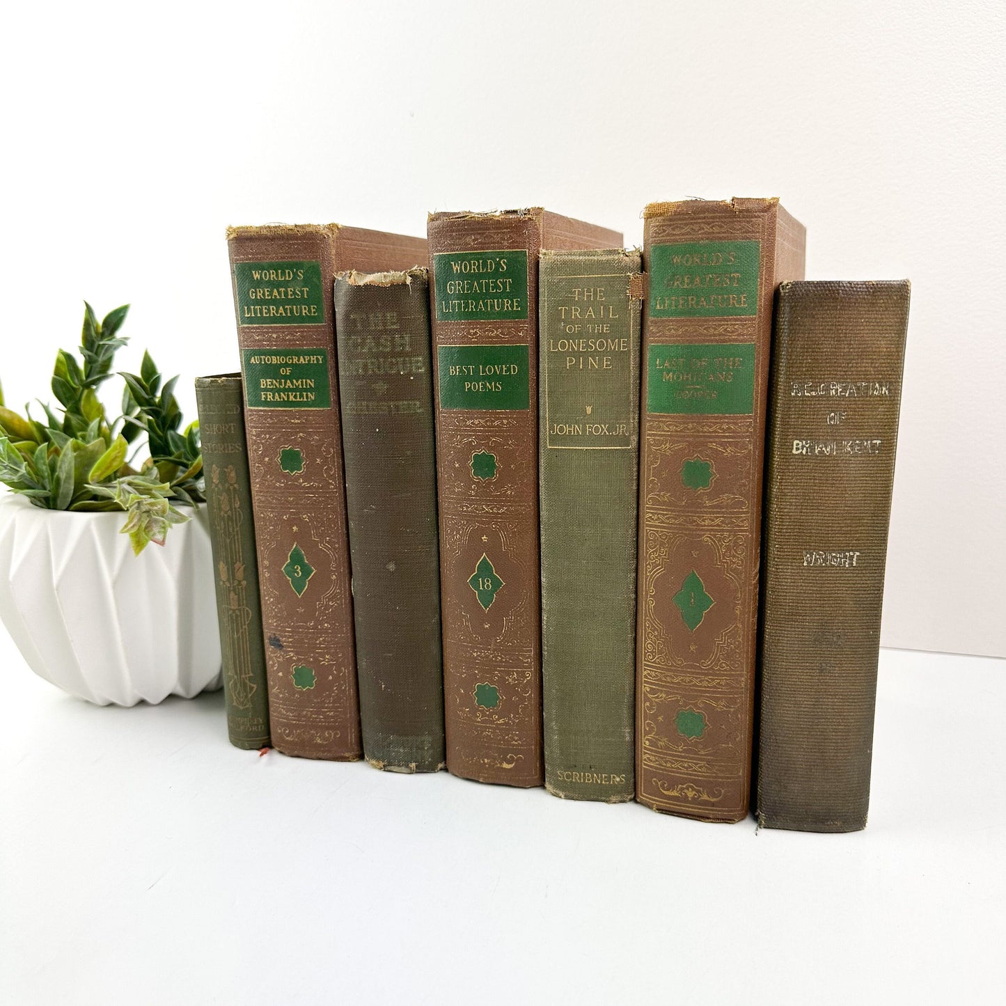 Book Bundle, Green and Brown Books for Living Room Decor, Farmhouse Decor
