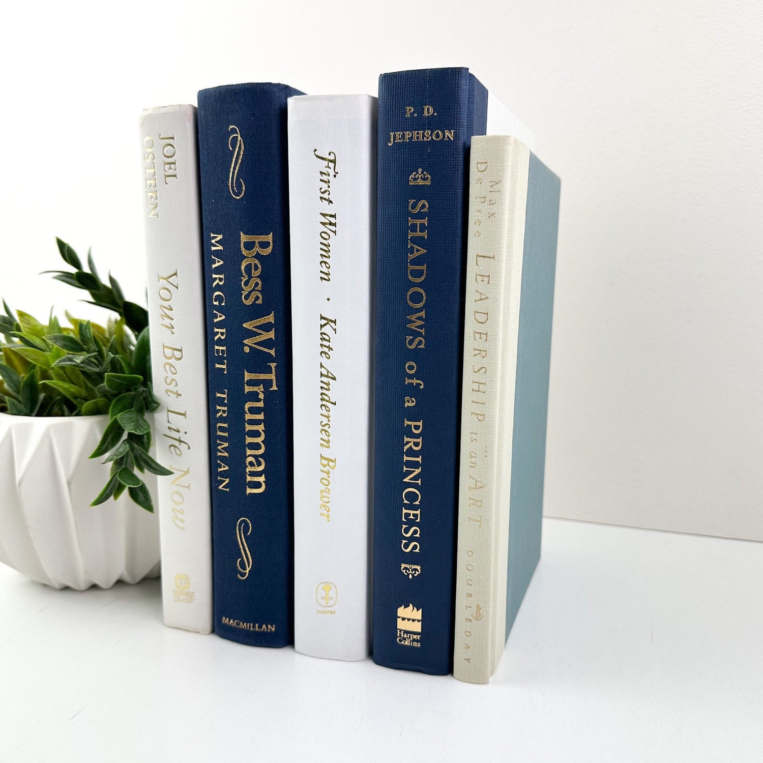 Blue Decorative Books for Home Decor, Books by Color, Books by the Foot, Shelf Decor