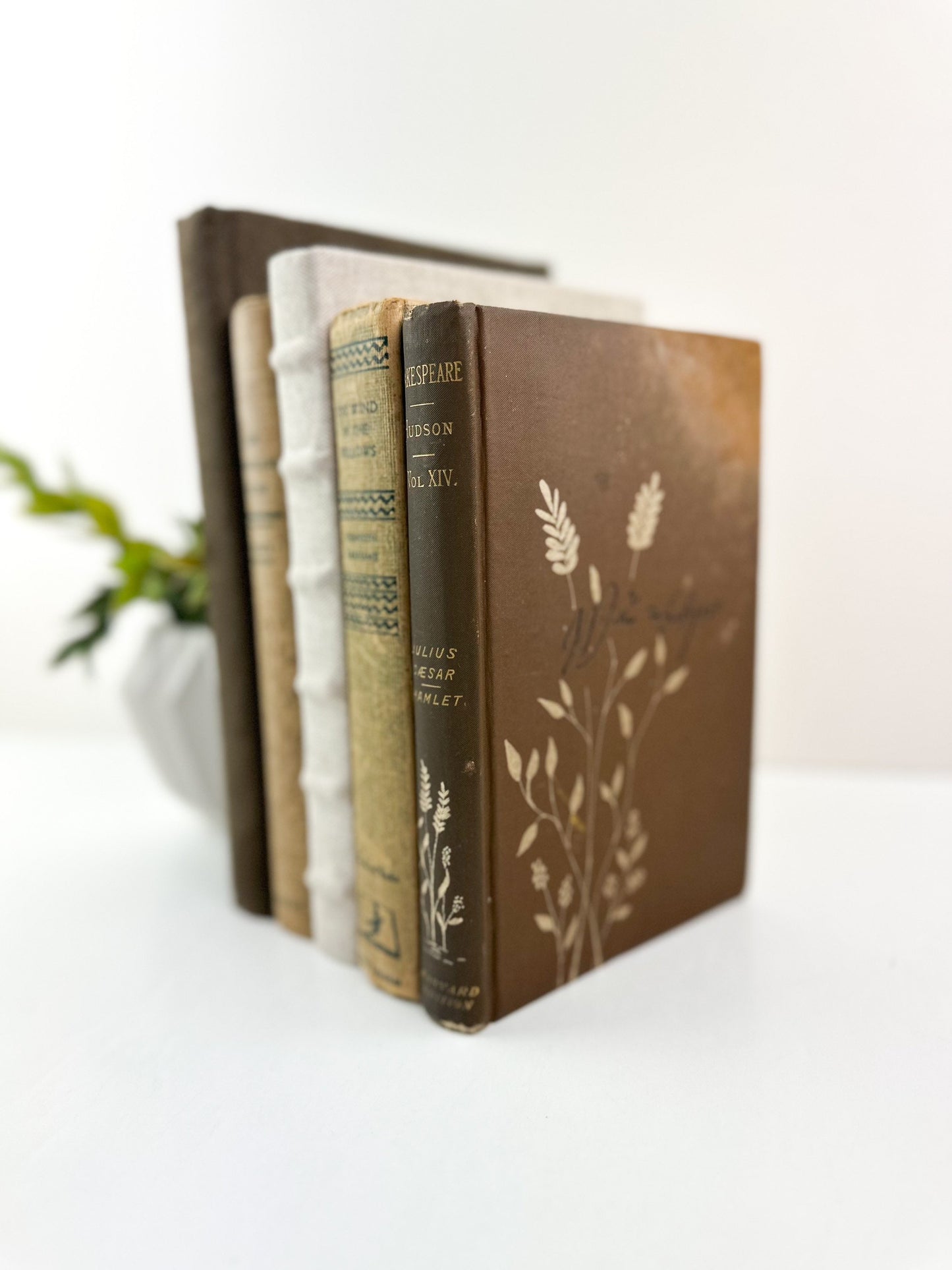 Brown Decorative Books for Home Decor, Books by Color, Books by the Foot, Shelf Decor