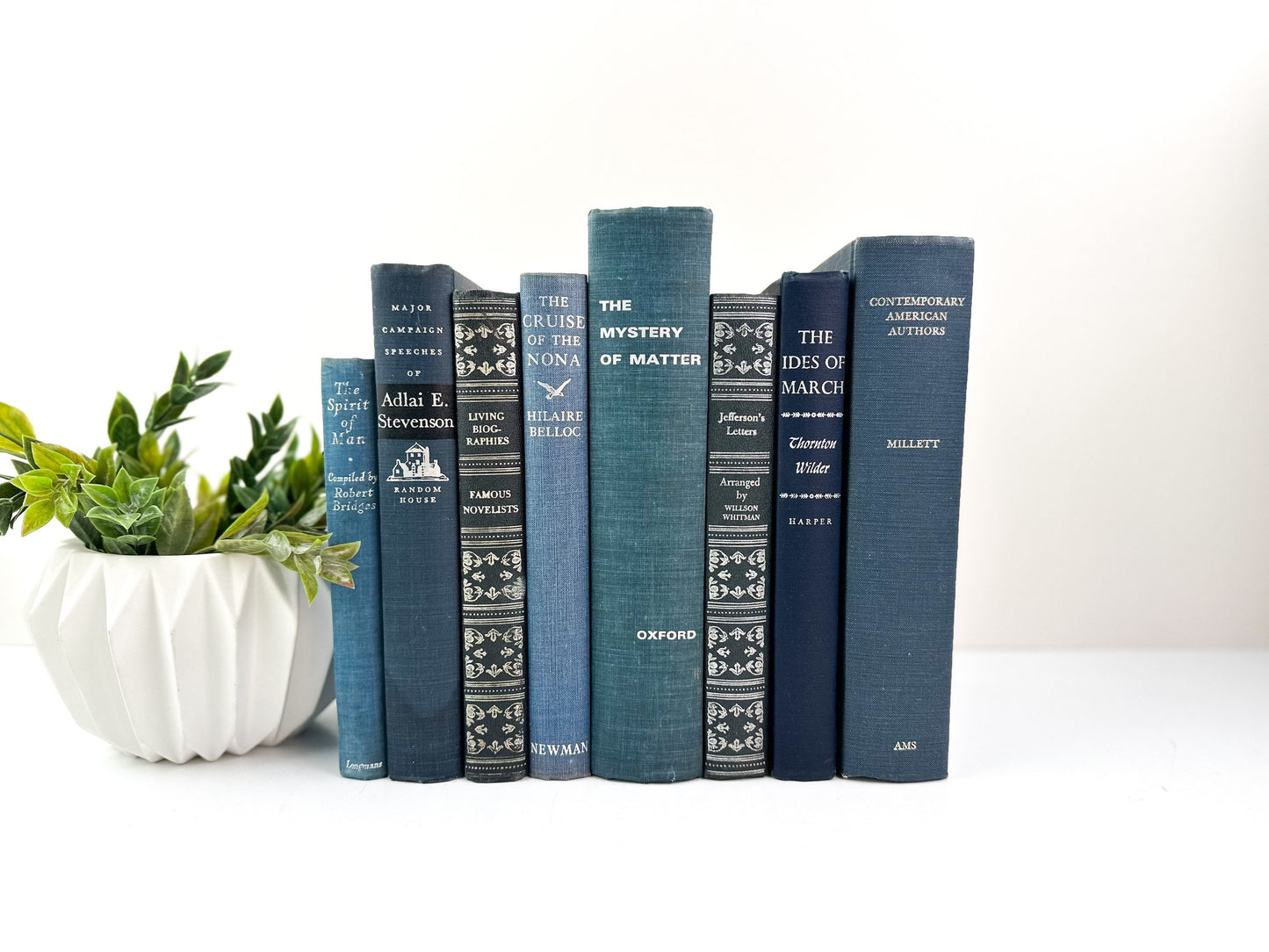 Stack of Books, Blue Books for Shelf Decor, Vintage Books for Living Room Decor