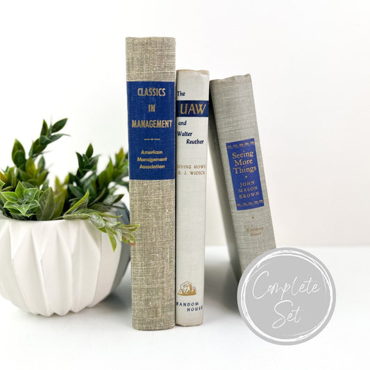 Mantel Decor, Blue Vintage Books for Shelf Decor, Living Room Decor, Book Bundle