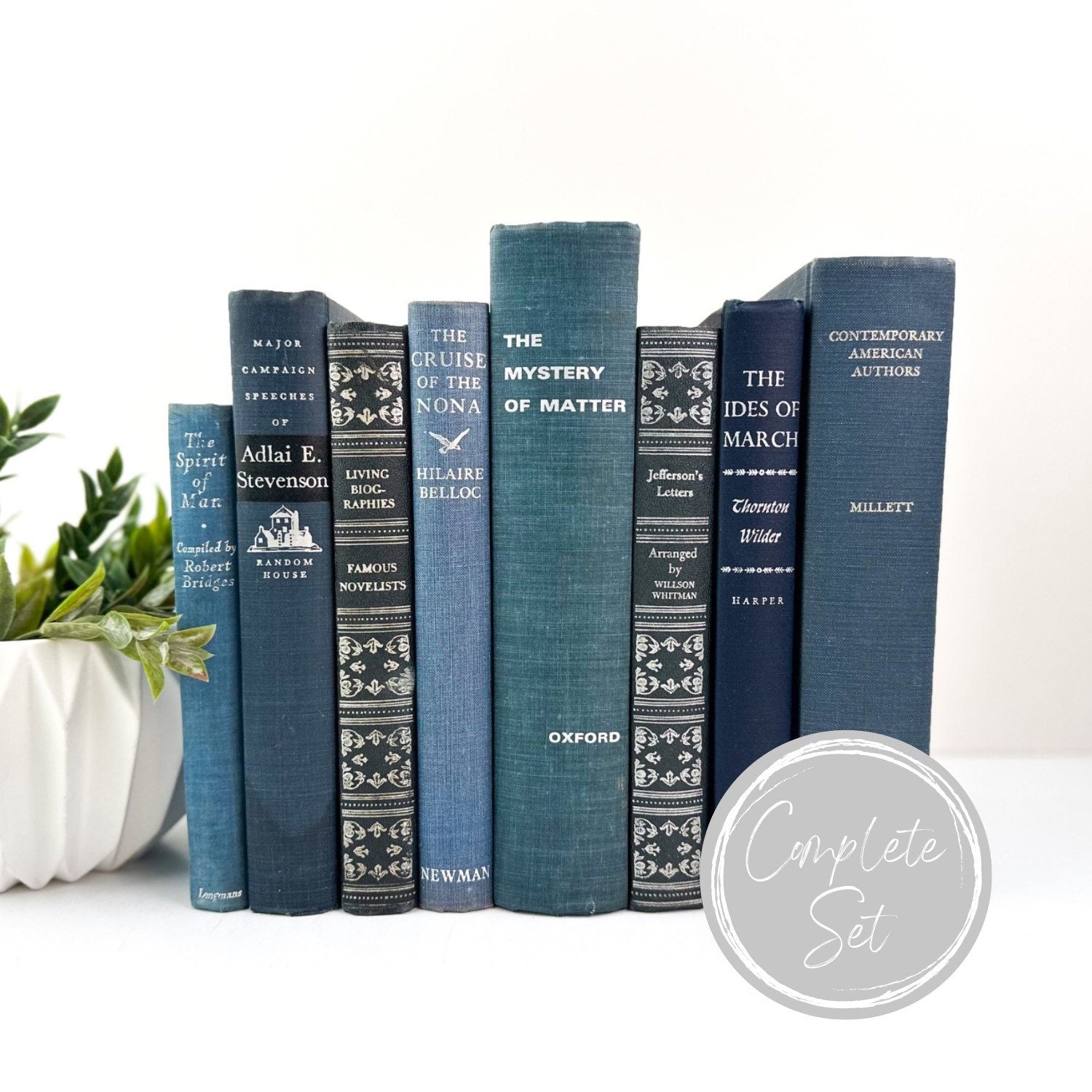 Stack of Books, Blue Books for Shelf Decor, Vintage Books for Living Room Decor