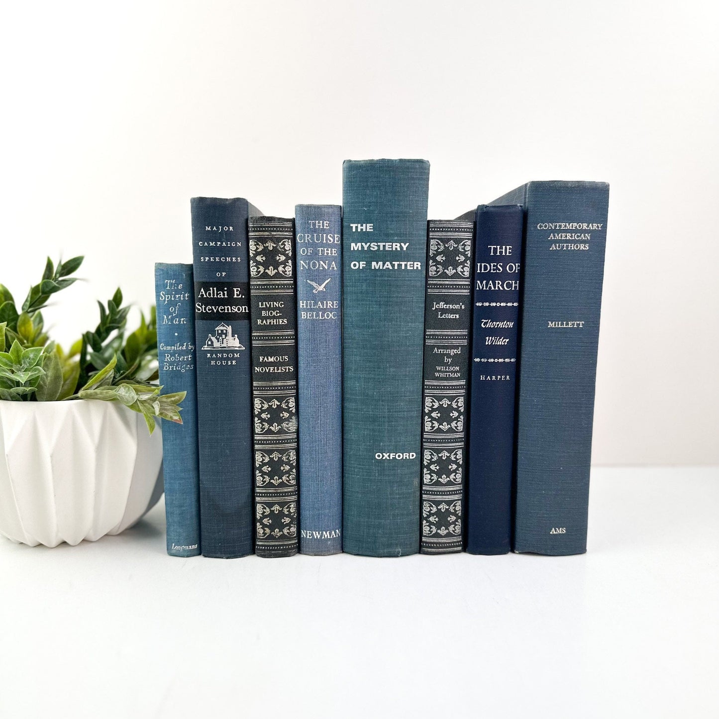 Stack of Books, Blue Books for Shelf Decor, Vintage Books for Living Room Decor