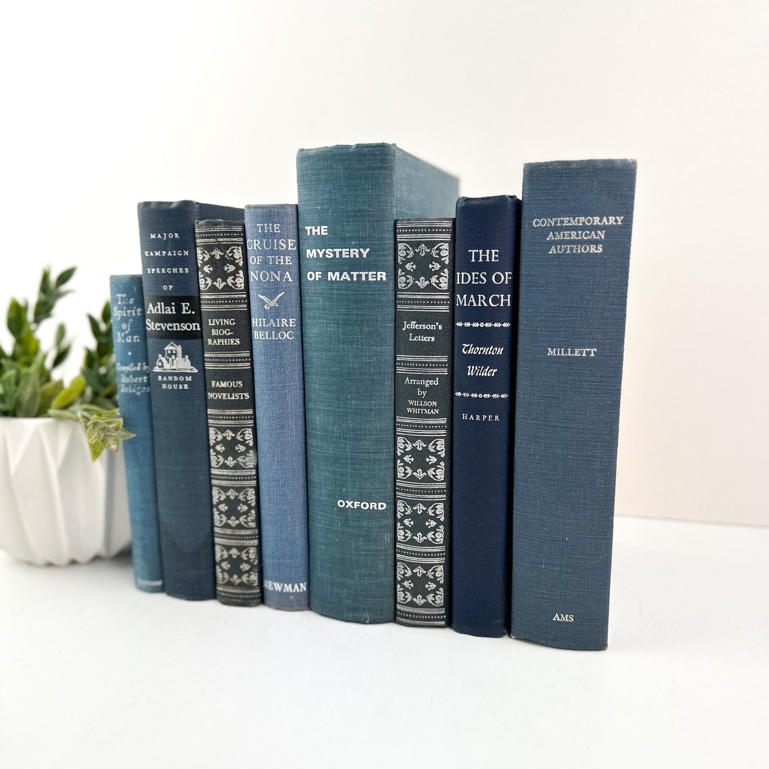 Stack of Books, Blue Books for Shelf Decor, Vintage Books for Living Room Decor