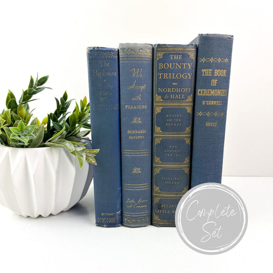 Home Decor, Blue Vintage Decor, Farmhouse Decorating, Book Bundle