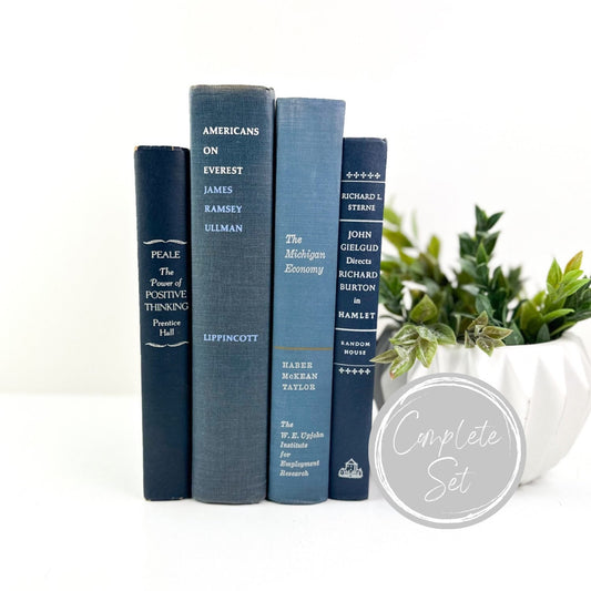 Books for Shelf Decor, Living Room Decor, Modern Decor, Book Bundle, Book Set