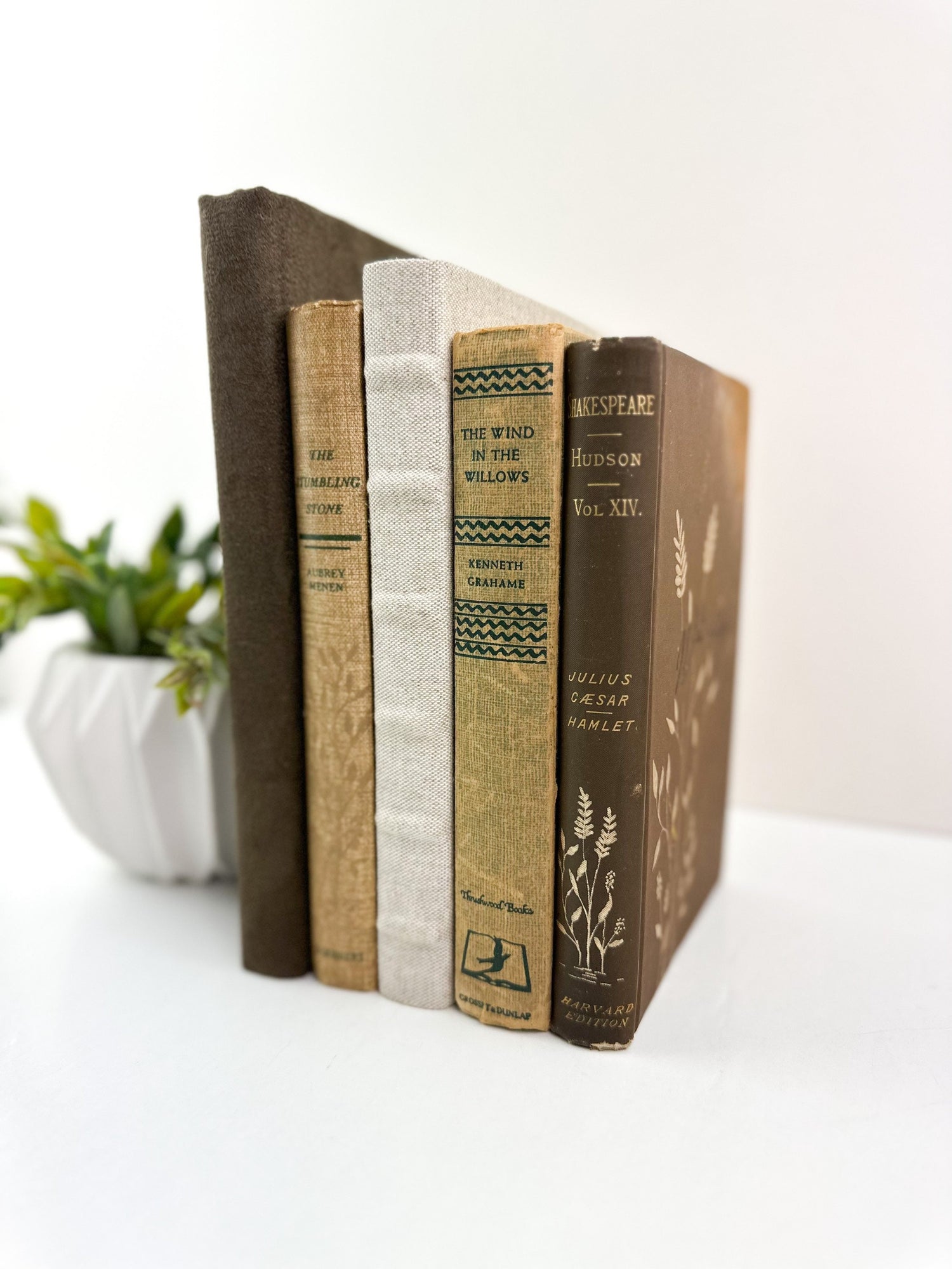 Brown Decorative Books for Home Decor, Books by Color, Books by the Foot, Shelf Decor