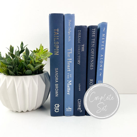 Books for Shelf Decor, Living Room Decor, Modern Decor, Book Bundle, Book Set