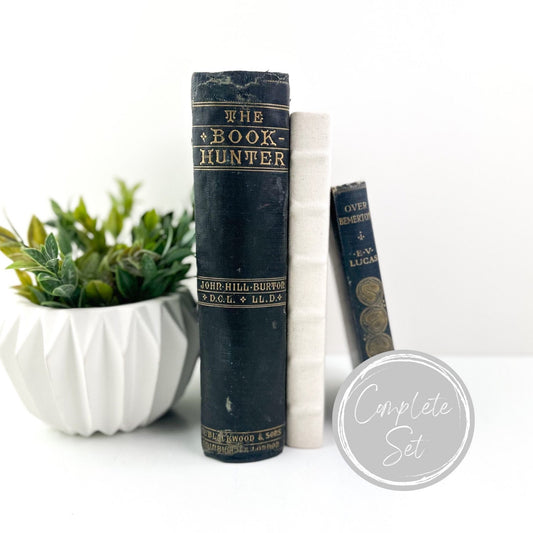 Books for Shelf Decor, Living Room Decor, Modern Decor, Book Bundle, Book Set