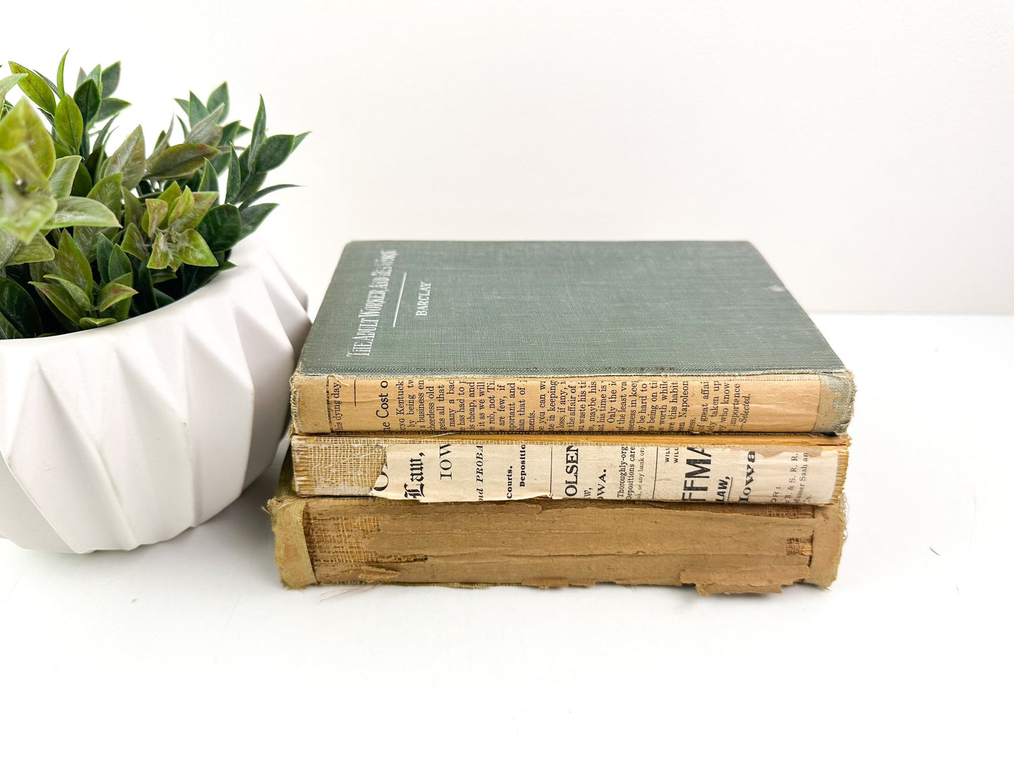 Vintage Book Set, Decorative Books for Shelf Decor, Modern Decor, Living Room Decor Ideas