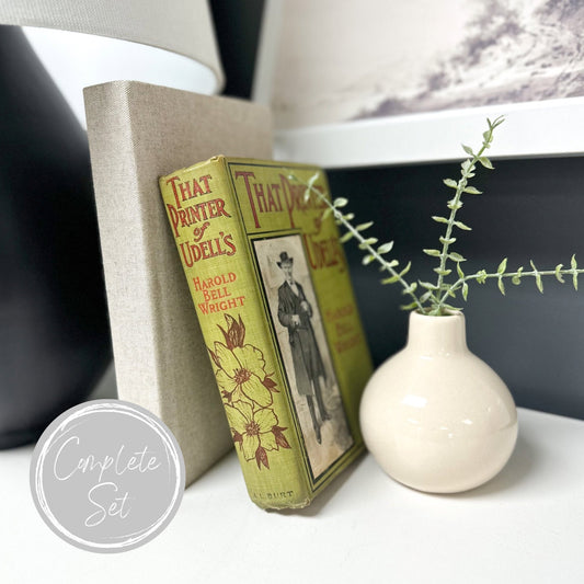 Books for Shelf Decor, Living Room Decor, Modern Decor, Book Bundle, Book Set