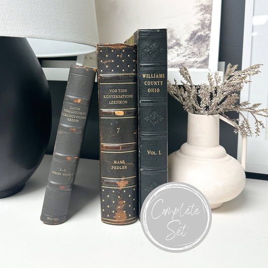 Book Set, Decorative Books for Shelf Decor, Modern Decor, Living Room Decor Ideas
